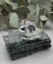 Anillo Sello 2da Compañia de Combate