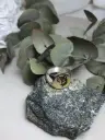 Anillo sello Loba