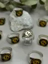 Anillo sello Seccion seguridad JEMGE