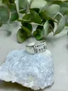 Anillo Family
