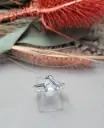 Anillo perro salchicha 