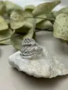 Anillo Hojas 