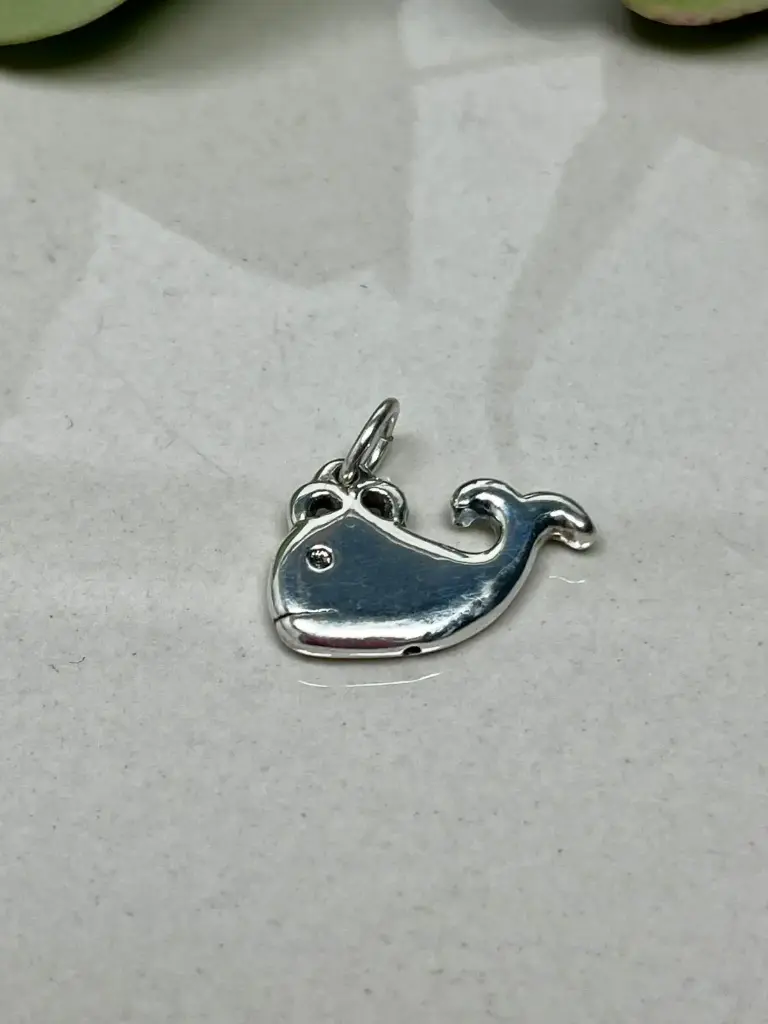 Dije ballena
