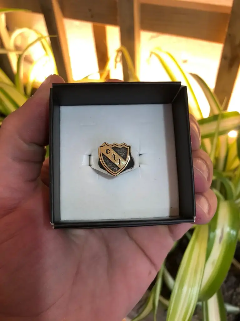 ANILLO INDEPENDIENTE plata y oro 