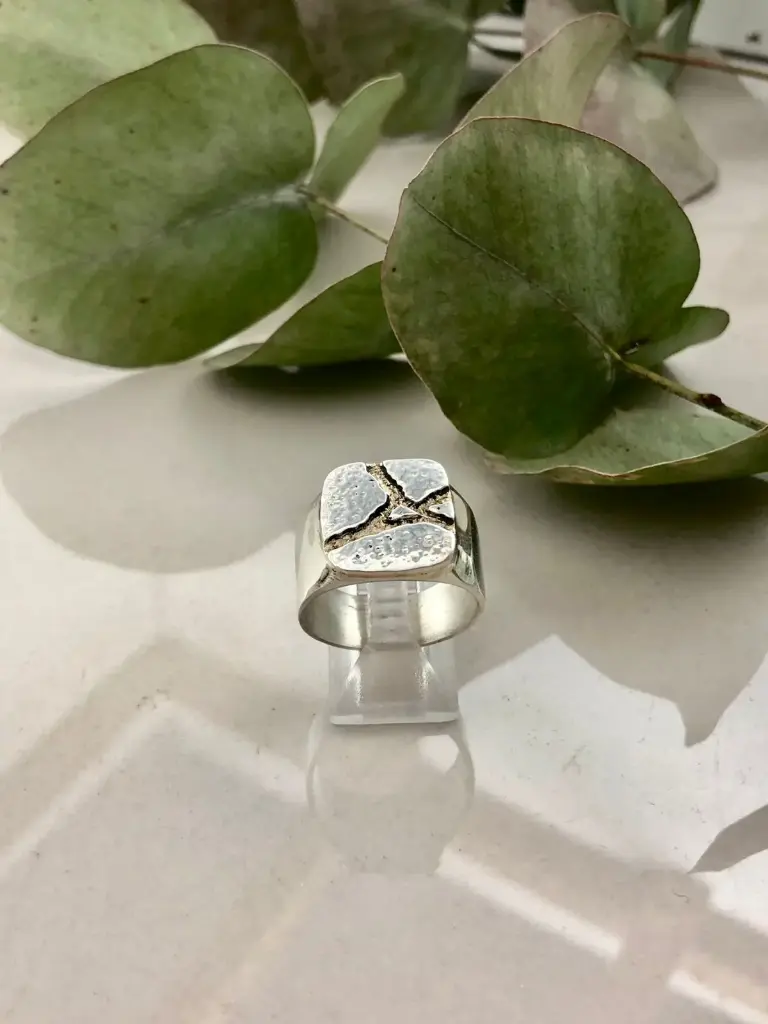 Anillo sello grieta