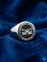 Anillo Gendarmeria Nacional