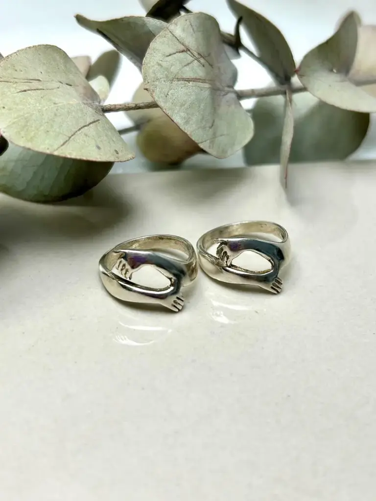 [AP.0051] Alianzas Abrazo