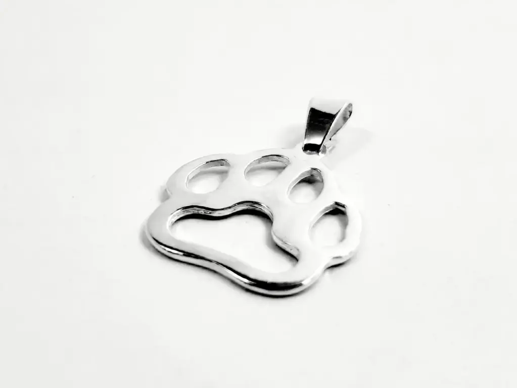 [DP.81] Dije Huella de Perro Chata Calada