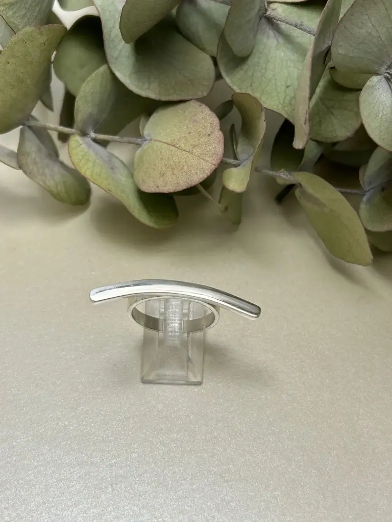 [AF.0108] Anillo Palo Horizontal 