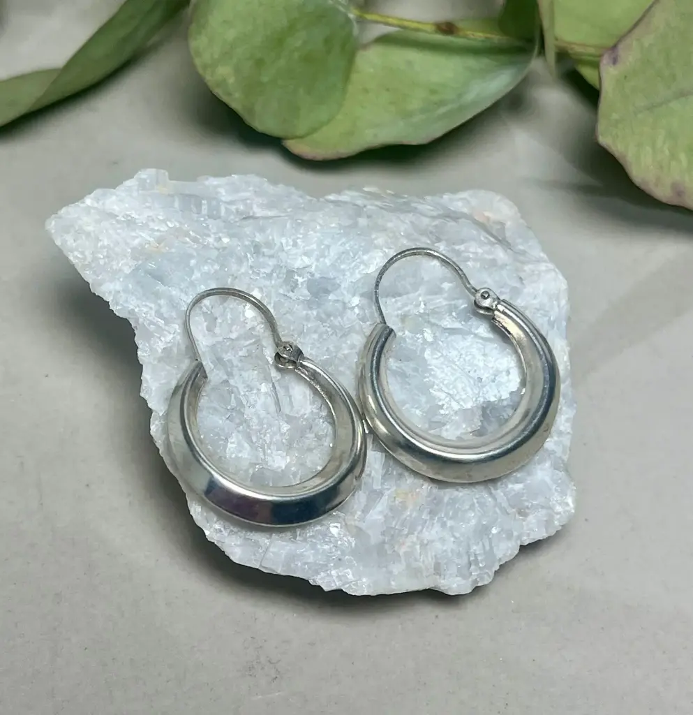 [A0006] Aros criollitas